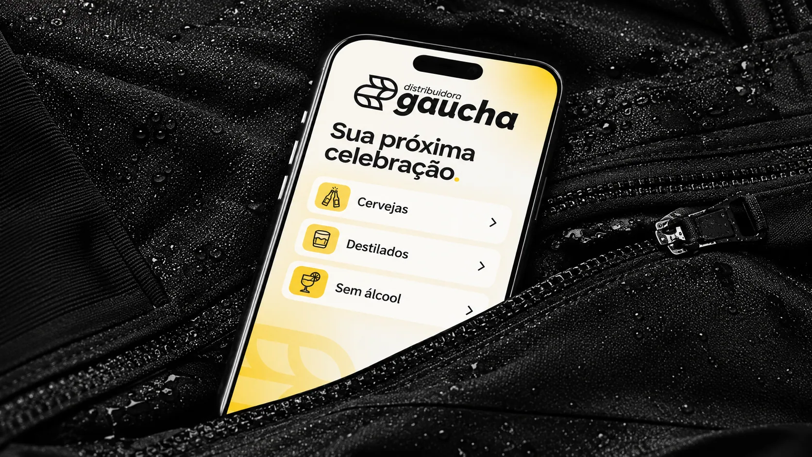 Distribuidora Gaúcha - imagem 3